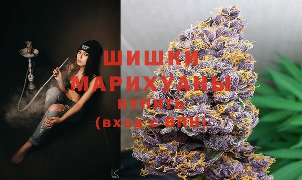 спиды Арсеньев