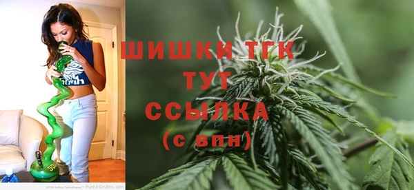 спиды Арсеньев
