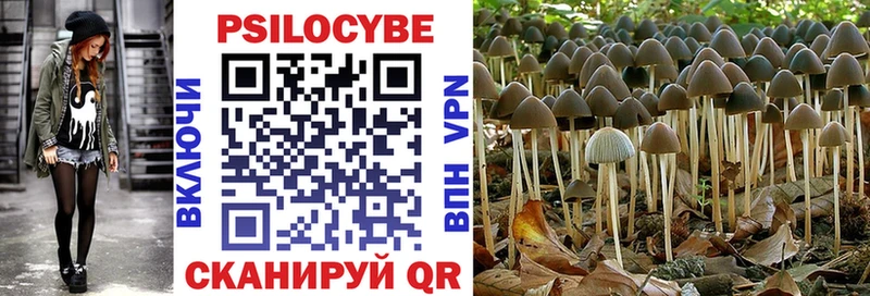 Галлюциногенные грибы мицелий Волгоград